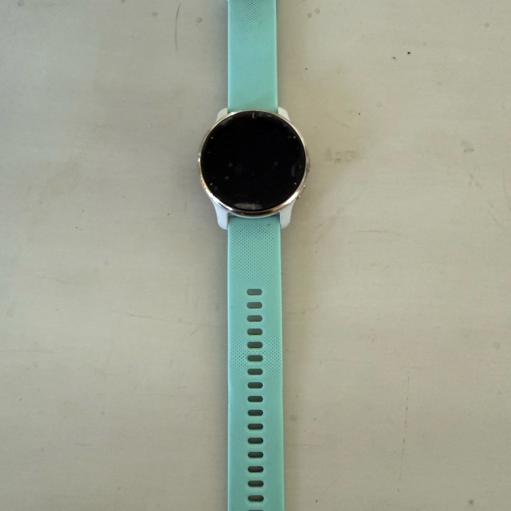 Garmin Smartwatch with Light Blue Band